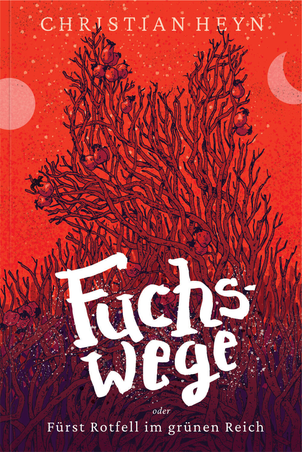 Cover vom Buch 'Fuchswege'